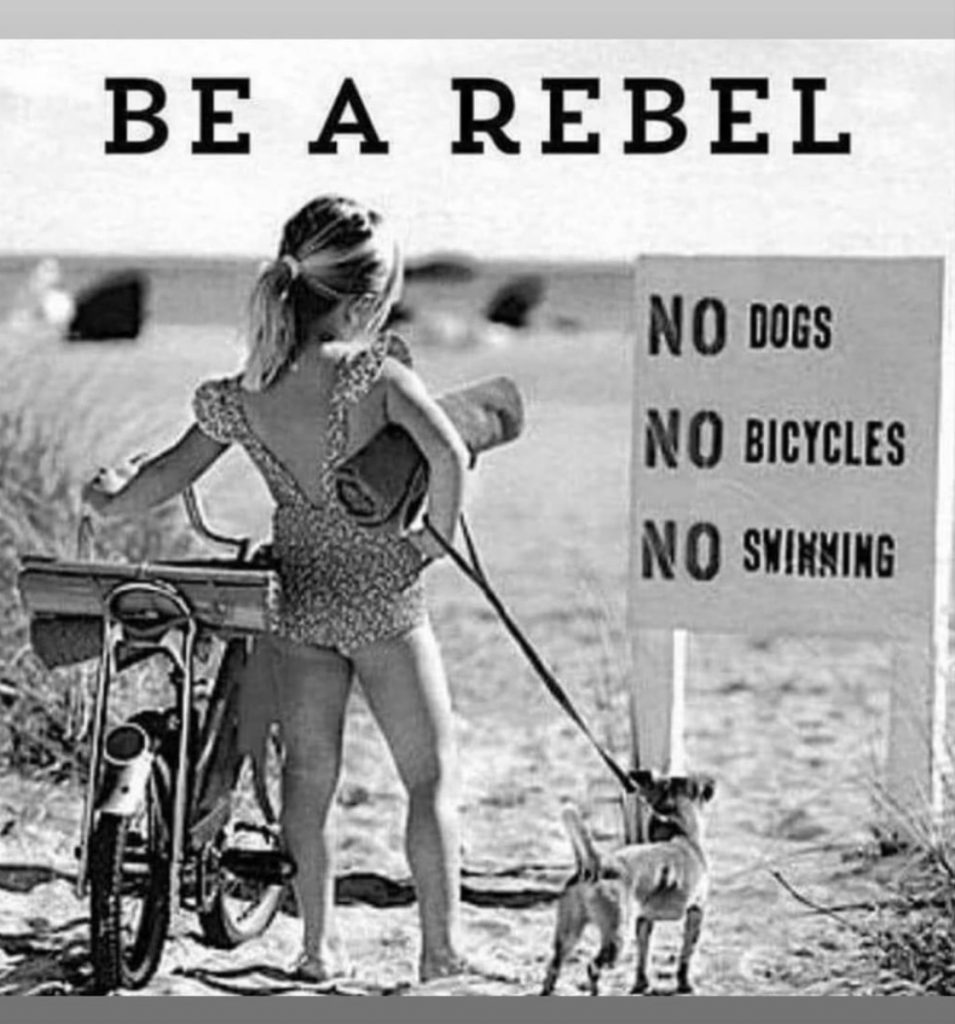 Be A Rebel en schrijf je in voor het Realisatiejaar